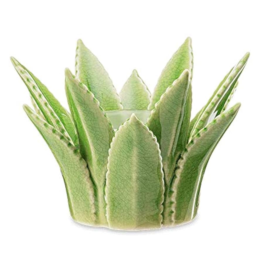 Elektrische Duftlampe Aloe Vera